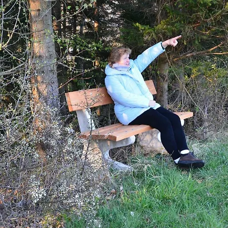 Vonwald Διαμέρισμα Michelbach