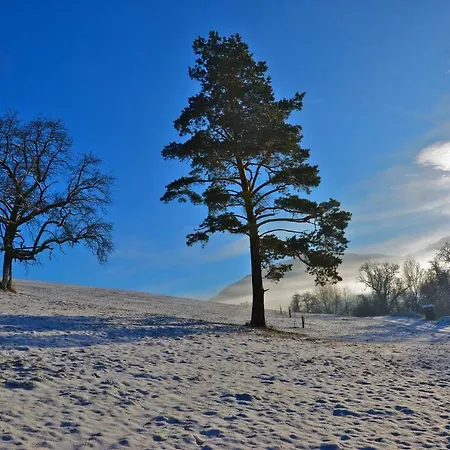 Διαμέρισμα Vonwald