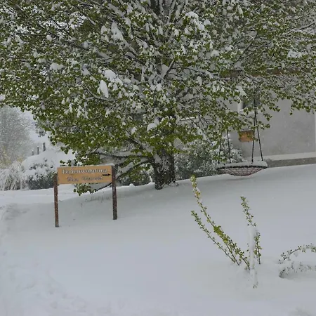 Appartement Vonwald *