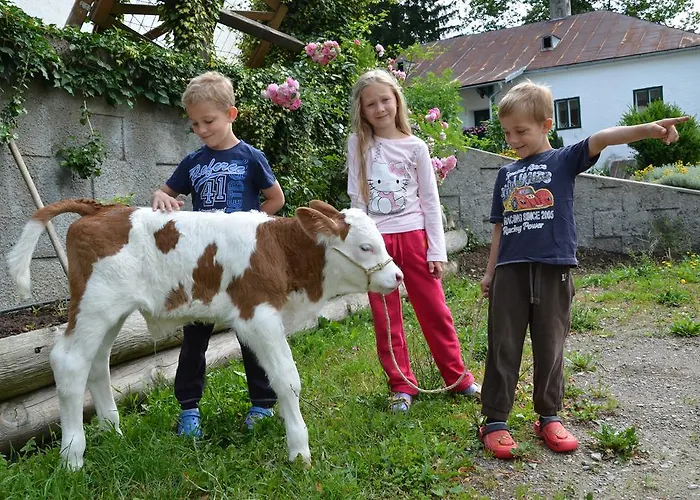 Appartement Vonwald Michelbach