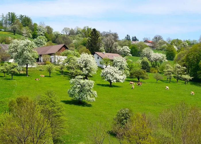 Vonwald Appartement Michelbach