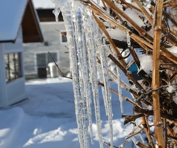 Vonwald Appartement *