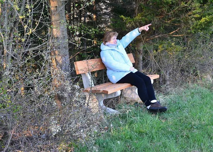 Vonwald Appartement Michelbach