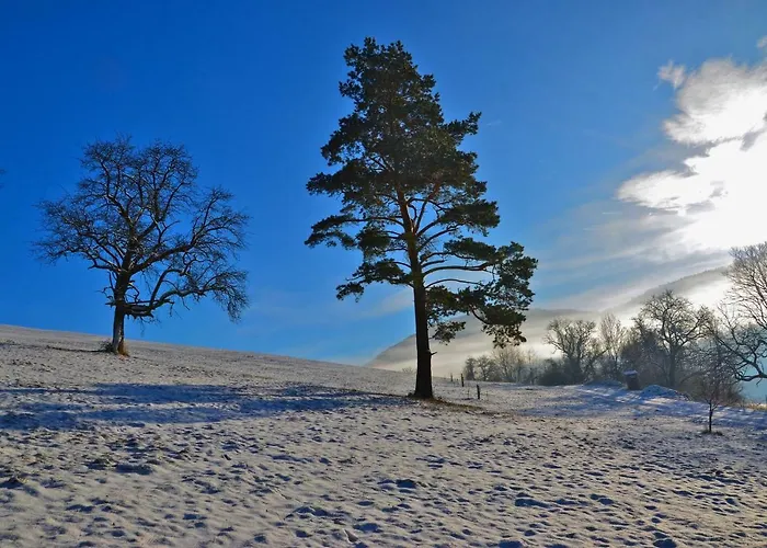 Διαμέρισμα Vonwald