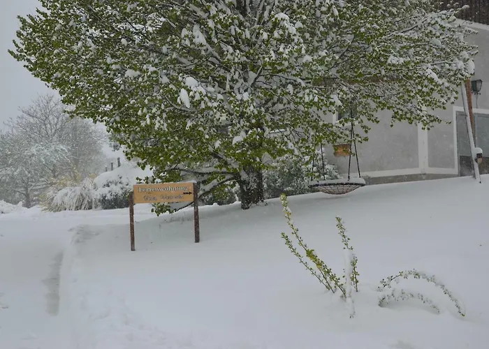 Appartement Vonwald *