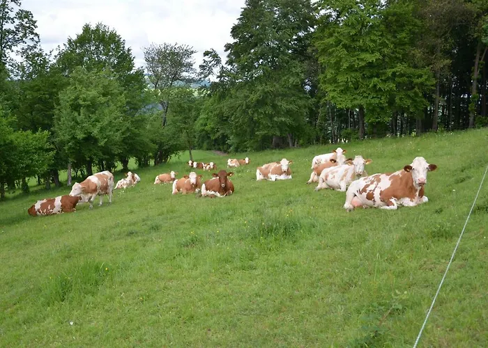 Διαμέρισμα Vonwald *